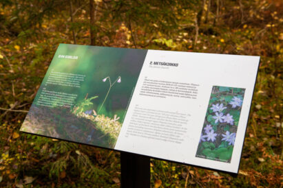 On the nature trail in Sibelius Forest, there are eight informational boards that provide details about the area's nature and history.