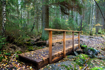 Sibelius Forest nature trail is suitable for a person with average physical fitness.