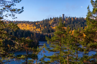 Sibelius Forest is bordered by Lake Aulangonjärvi. On the opposite shore, the landmark of Aulanko, a granite observation tower, looms in the distance.