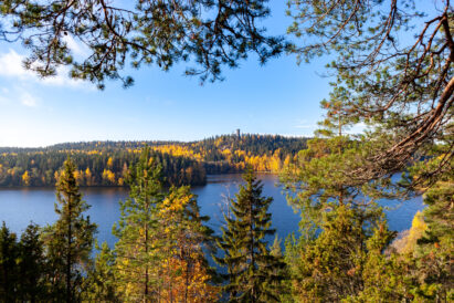 Sibelius Forest is bordered by Lake Aulangonjärvi. On the opposite shore, the landmark of Aulanko, a granite observation tower, looms in the distance.