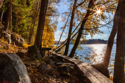 Part of Sibelius Forest outdoor trail follows duckboards right along the shoreline of Lake Aulangonjärvi.