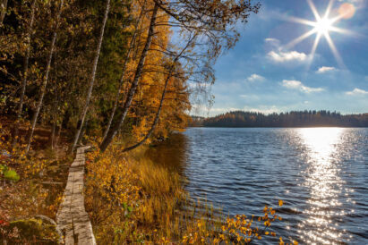 art of Sibelius's Forest outdoor trail follows duckboards right along the shoreline of Lake Aulangonjärvi.