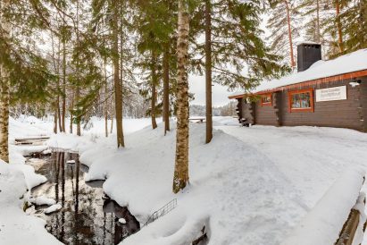 A charming forest stream flows through the Evo Syväjärvi area.