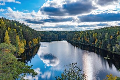 Syväjärvi has dark water, and a significant amount of fish is stocked in it every year.