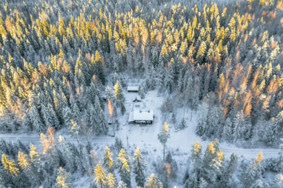 The buildings of Evo Wilderness Villa are located on a large wooded plot, where there are no neighbors in the vicinity.