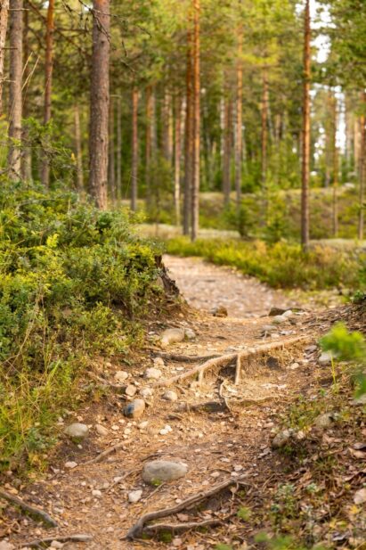 An easy forest path leads from Loppi Wilderness Villa to the swimming and boating pier on the nearby Syvälahti shore.