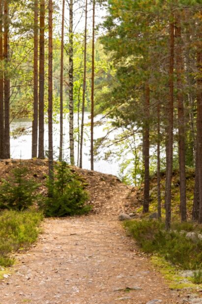 An easy forest path leads from Loppi Wilderness Villa to the swimming and boating pier on the nearby Syvälahti shore.